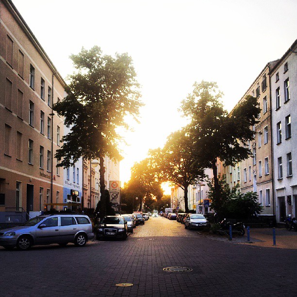 Murmuration. Über Großstädter, die Natur und das Staunen.