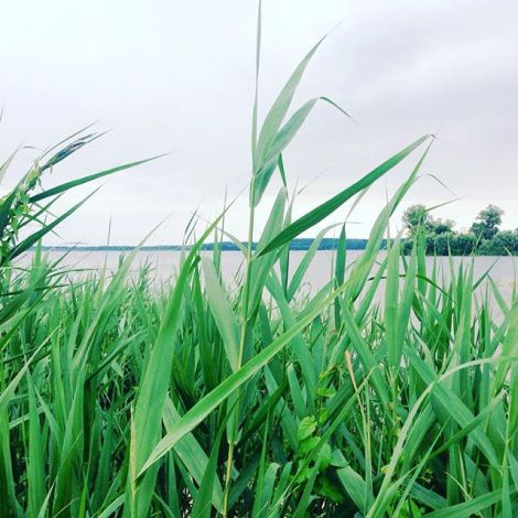 13627937_1698798000385929_2100005194_n