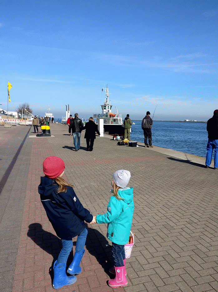 IMG_20170326_115437-ANIMATION